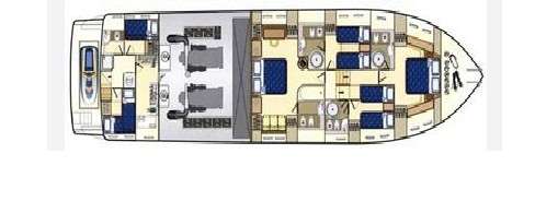 layout