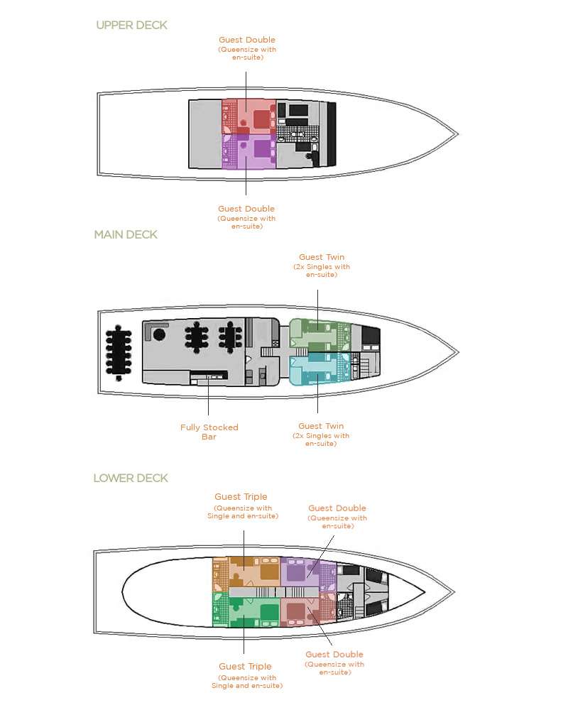 layout