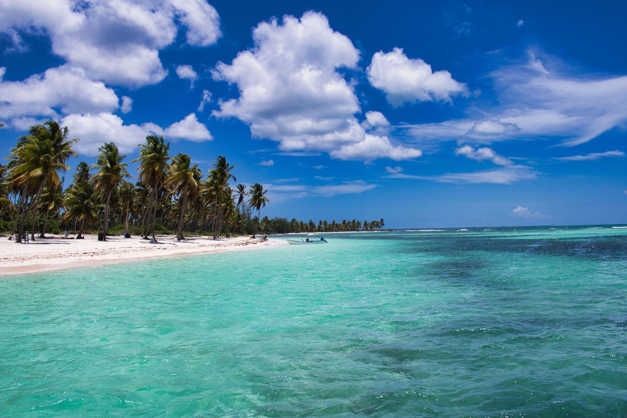 Stunning tropical beach with azure waters and palm trees under a bright blue sky.jpg