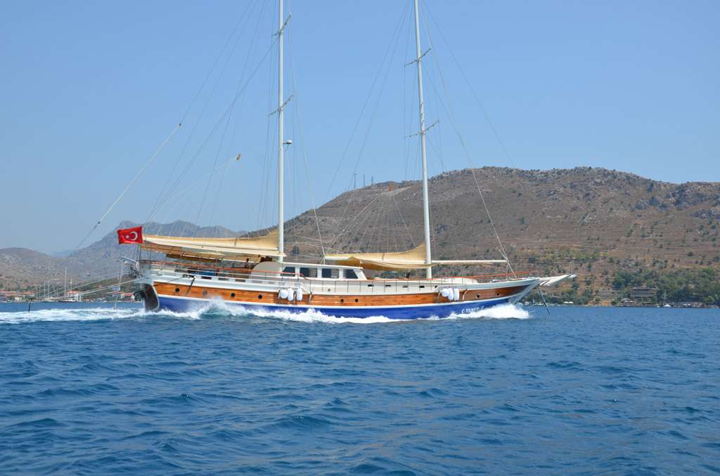 C. TANER 2