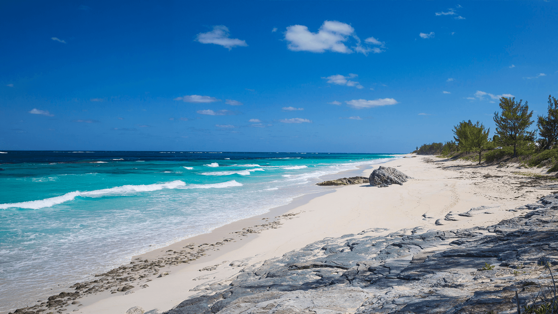 great_guana_cay_in_the_bahamas.png