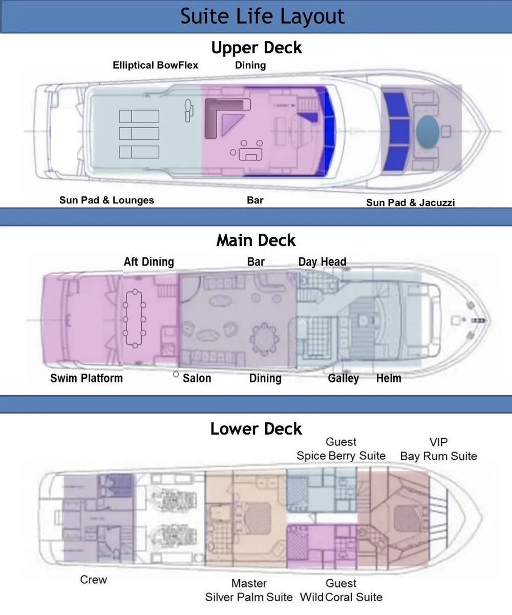 layout