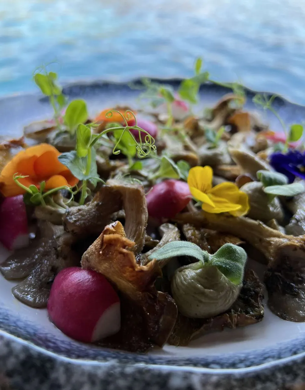 menu-5