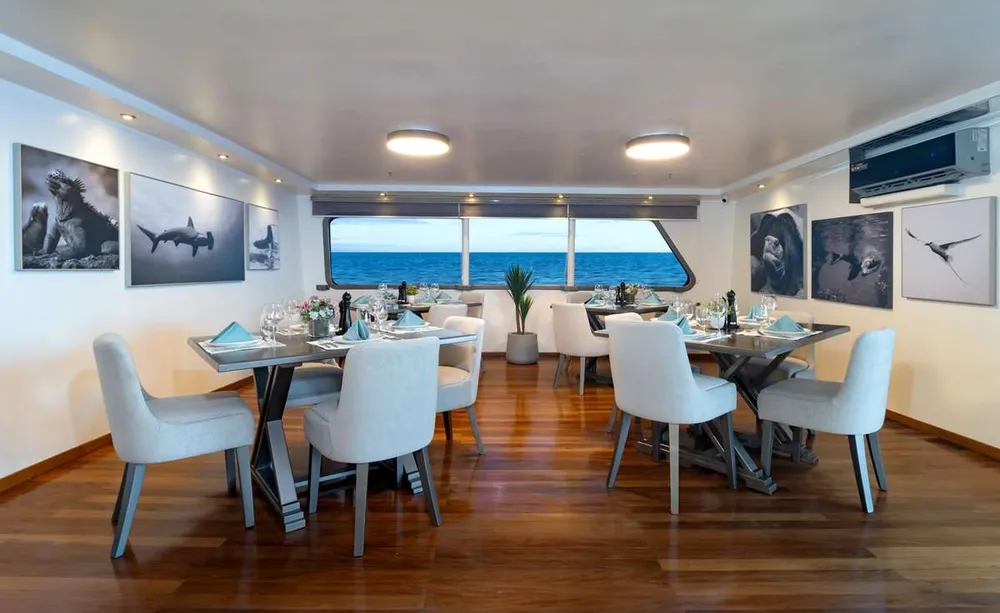 yacht-595982