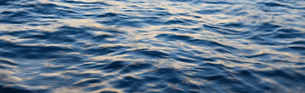 Why choose Ritzy Yachts  facilitate your sale?