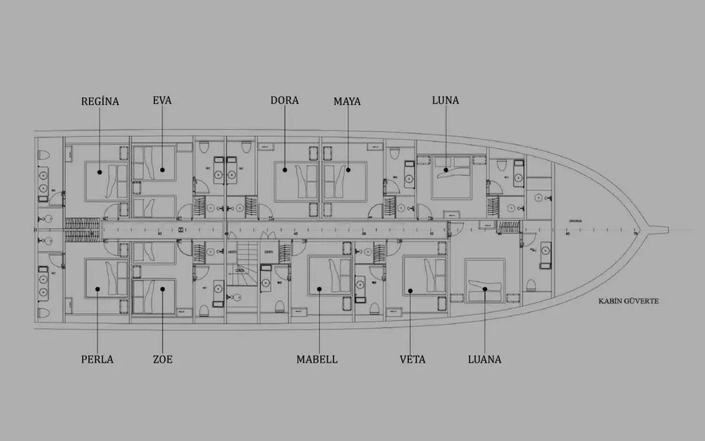 layout