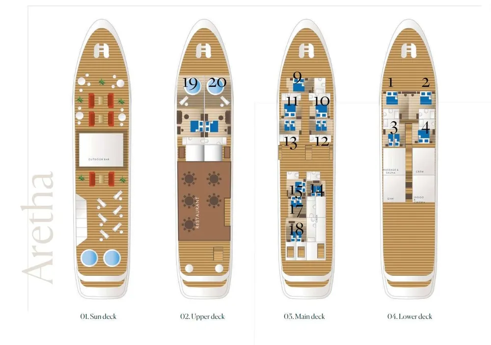 layout