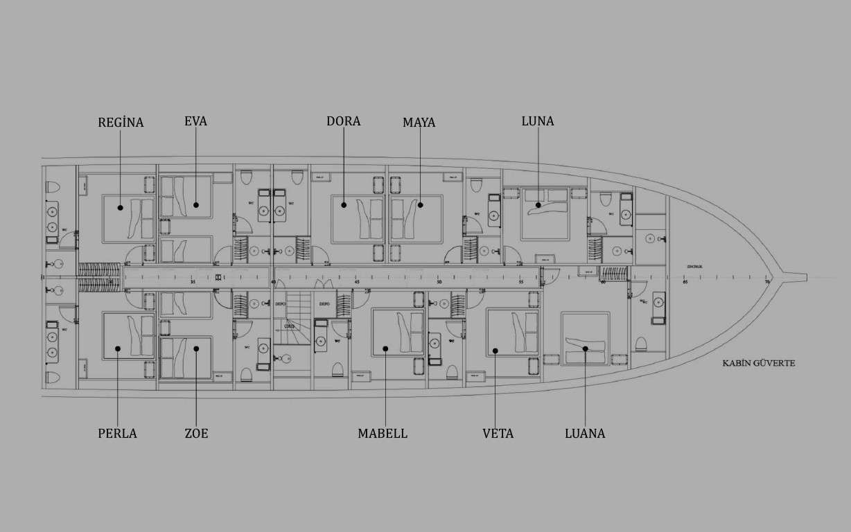 layout