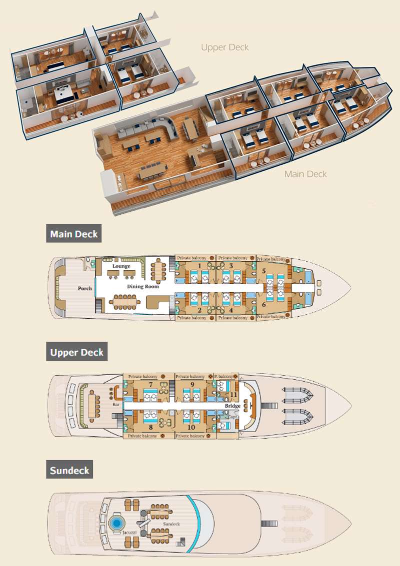 layout