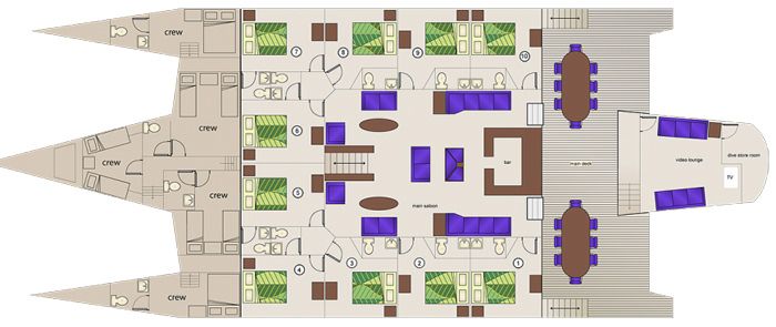 layout