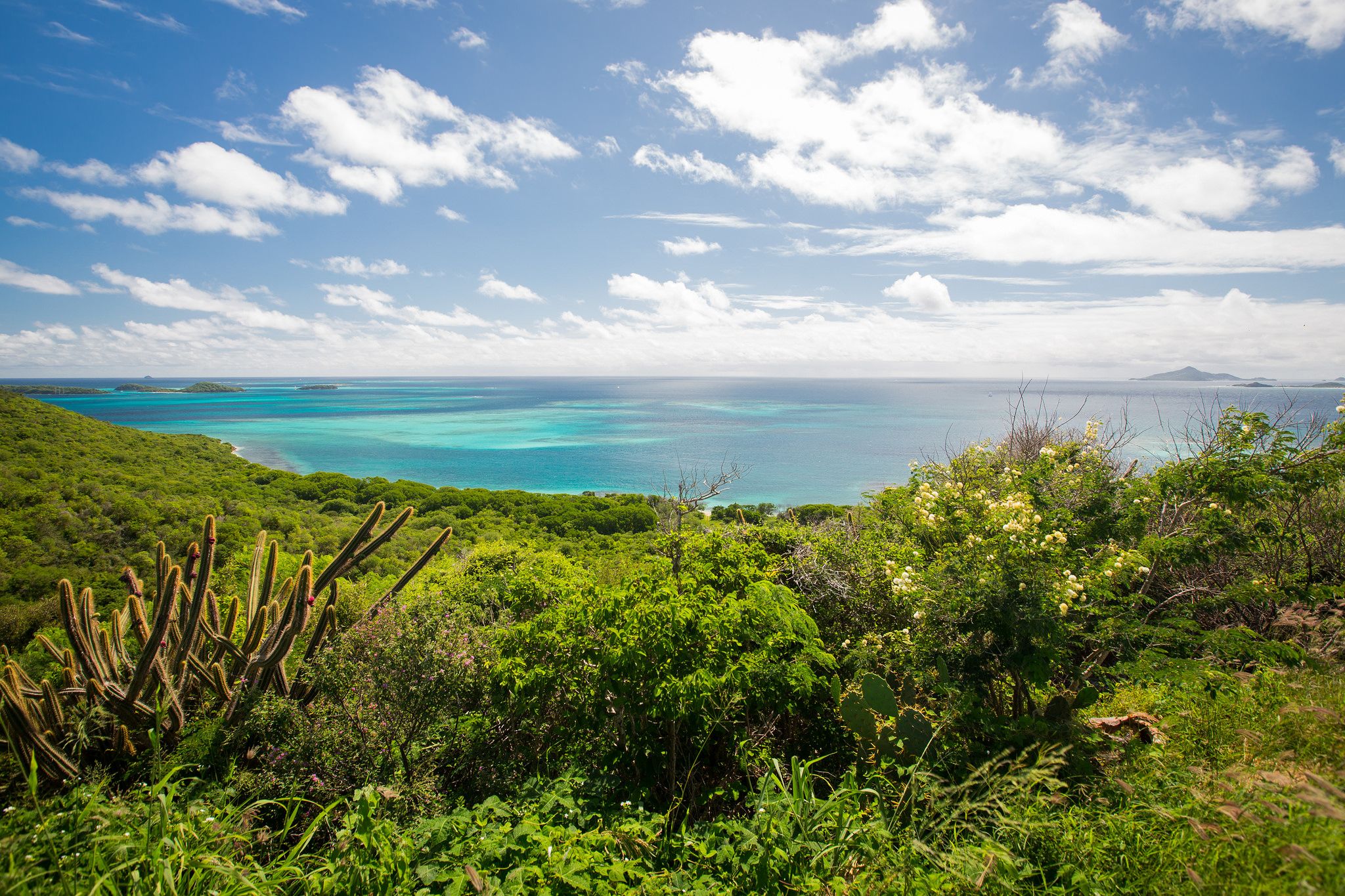 mayreau_gardens_in_grenadines
