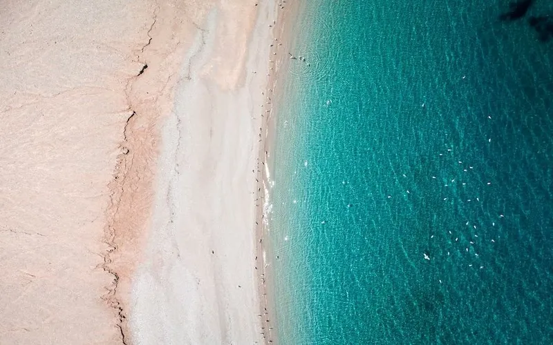 202303080934163438.jpg