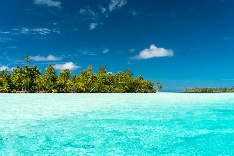 Fare To Avea Bays