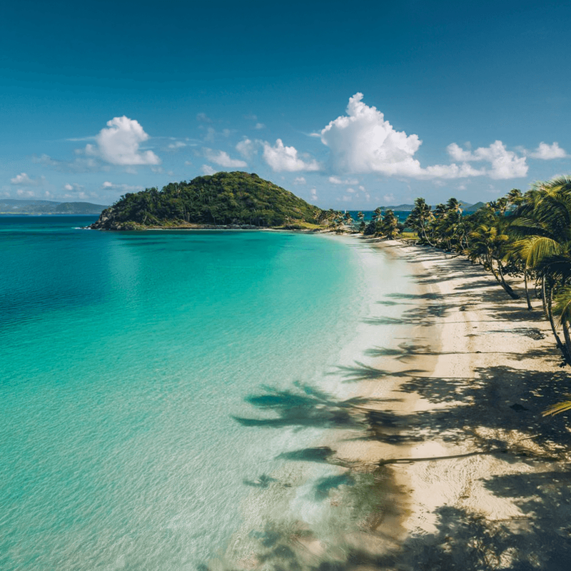 The Grenadines