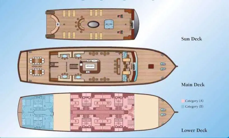 layout
