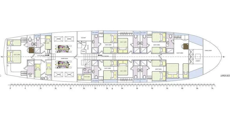layout