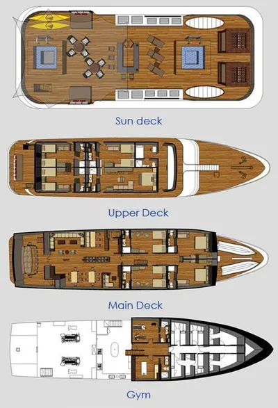 layout