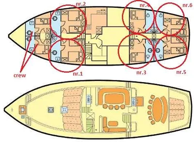 layout