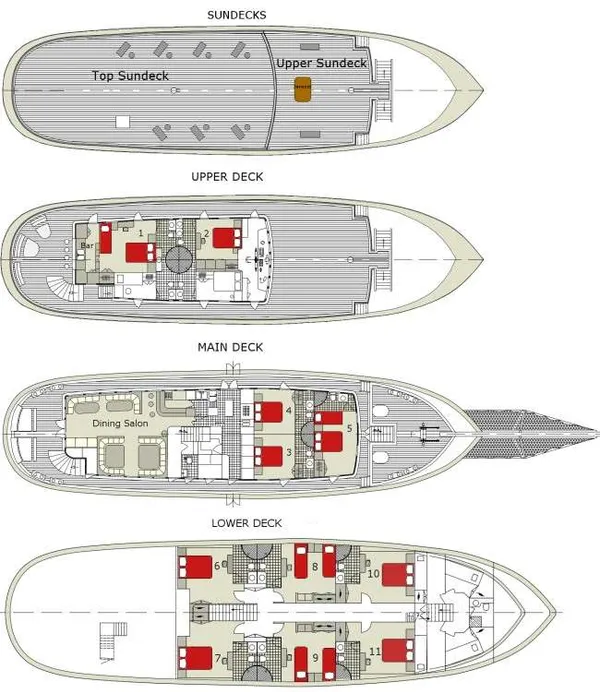 layout