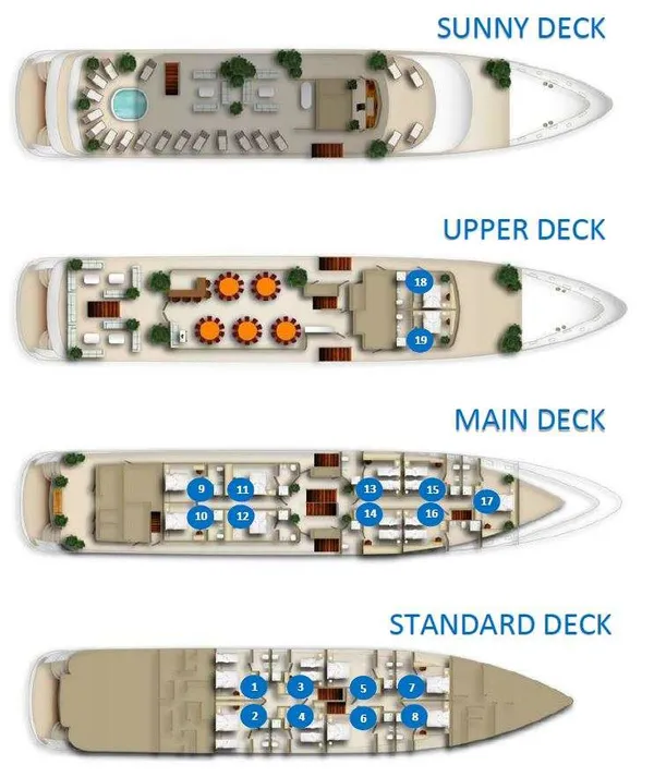 layout