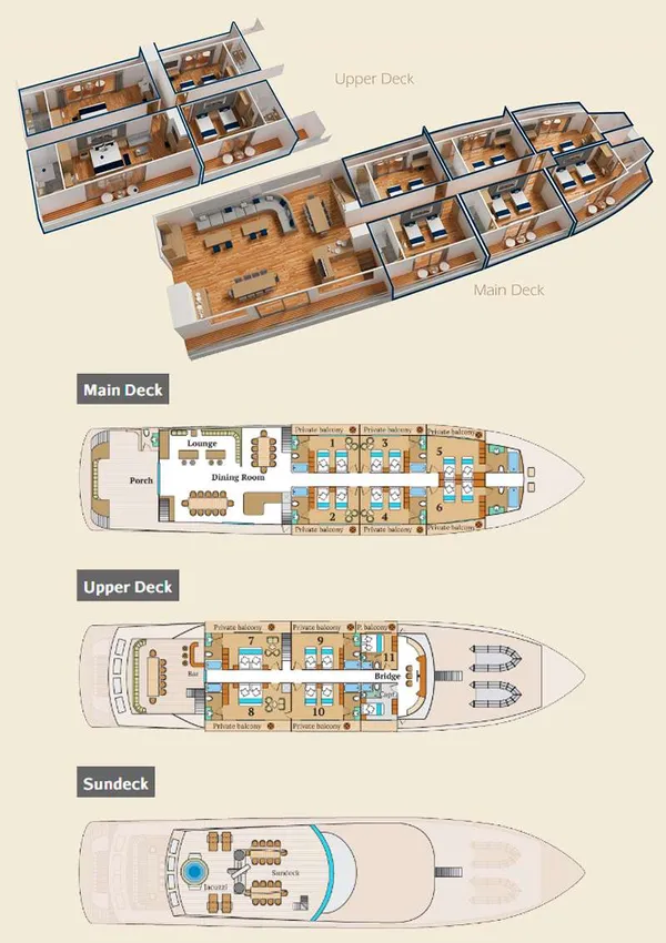 layout