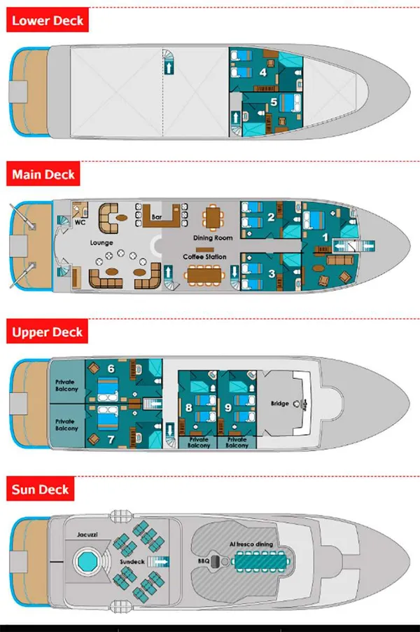 layout