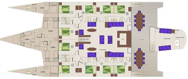 layout