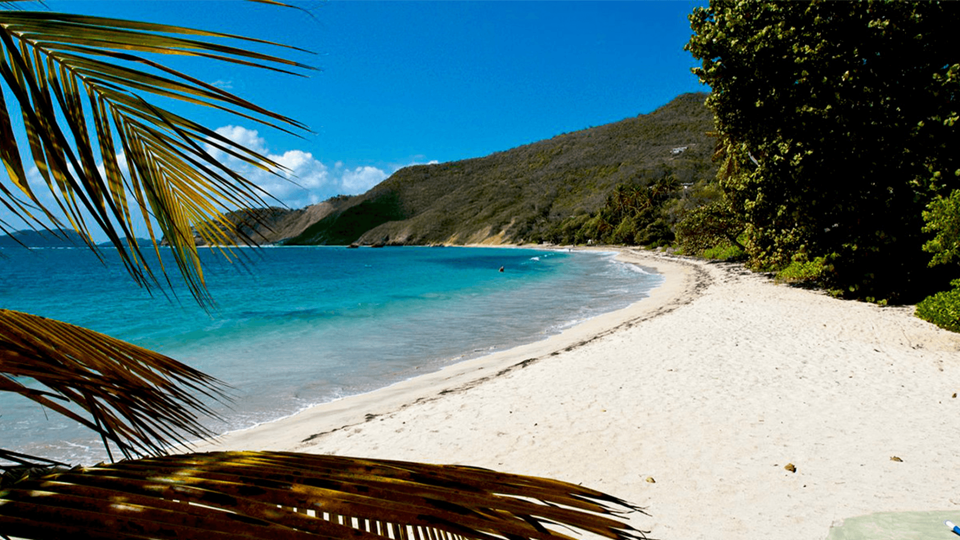 turquoise_sea_and_white_sandy_beach_in_the_british_virgin_islands