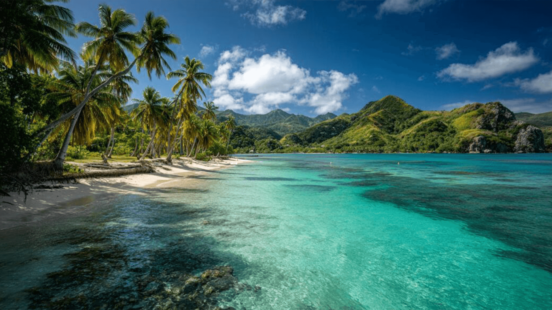 view from the beach on the grenadines islands