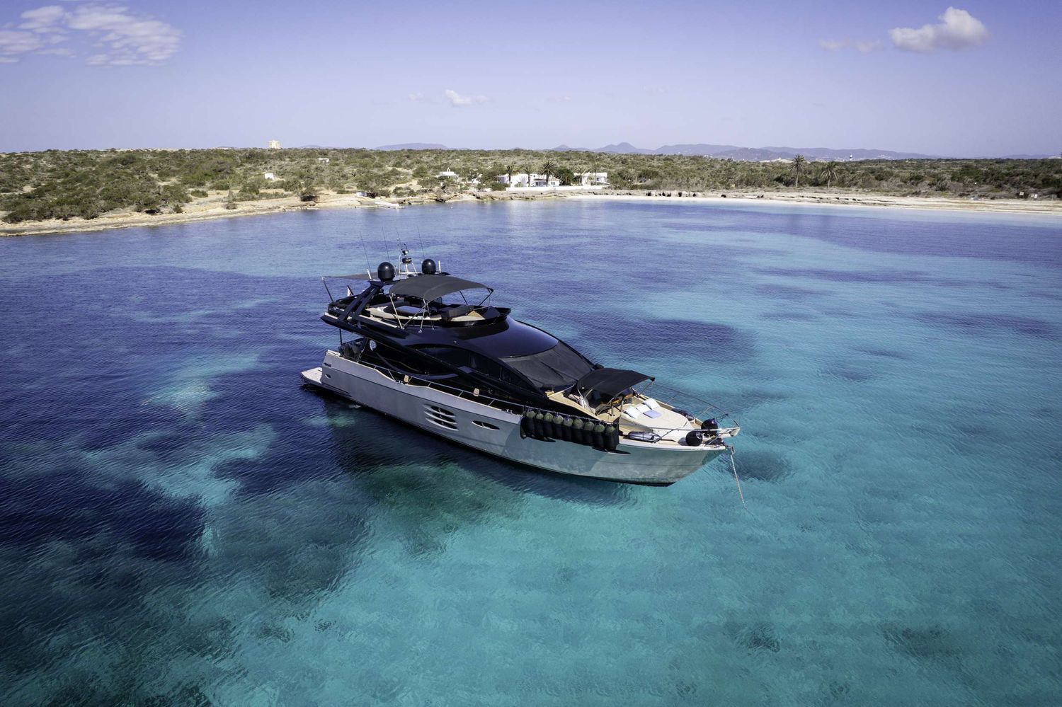 AMMONITE 