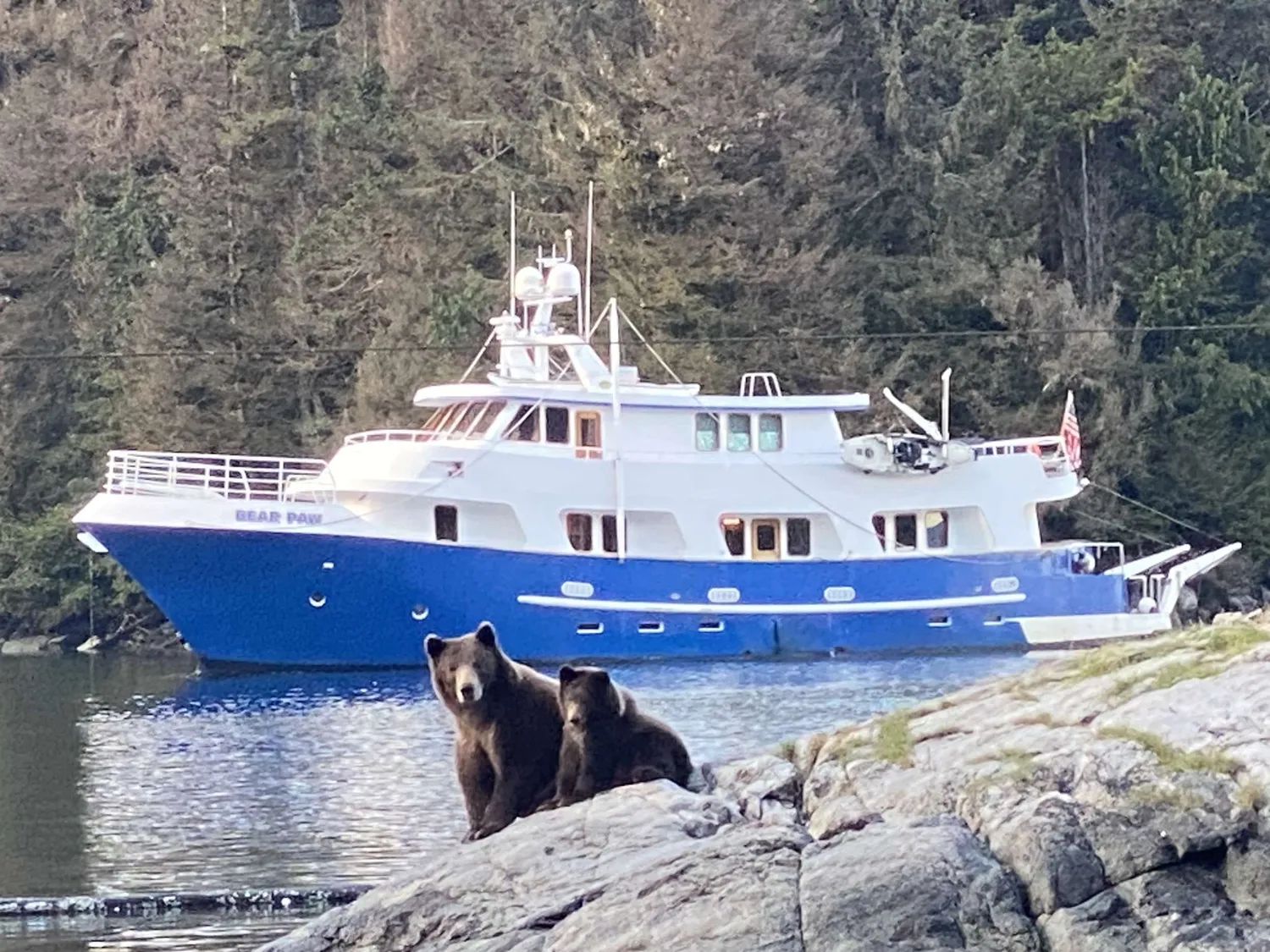 yacht-596616