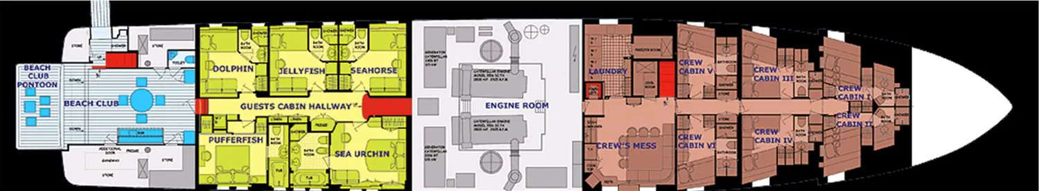 layout