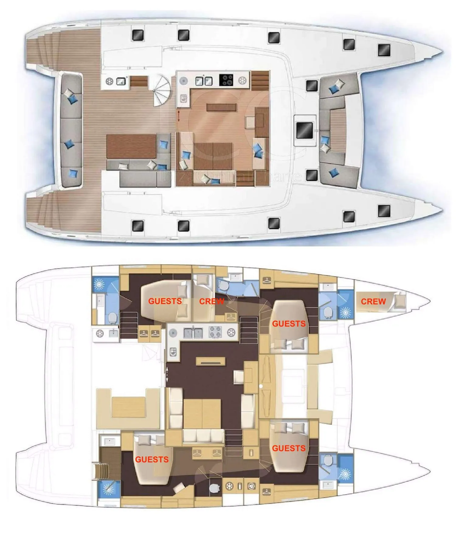 layout