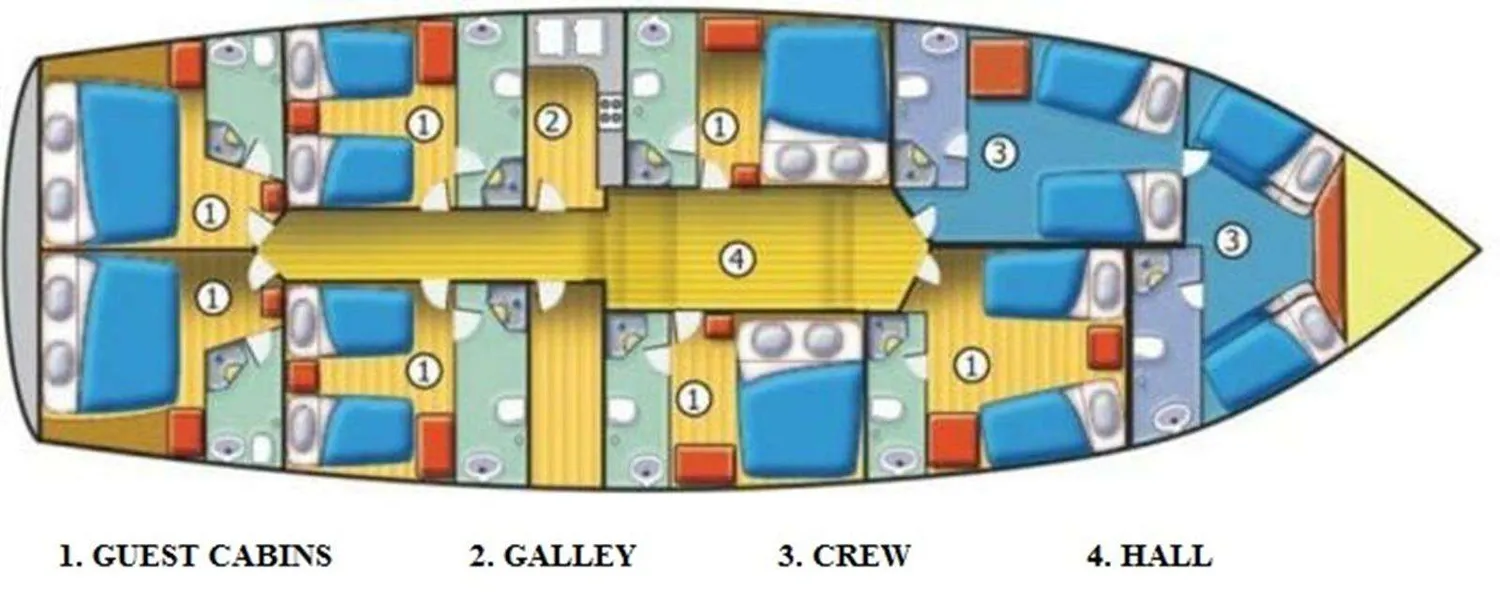 layout