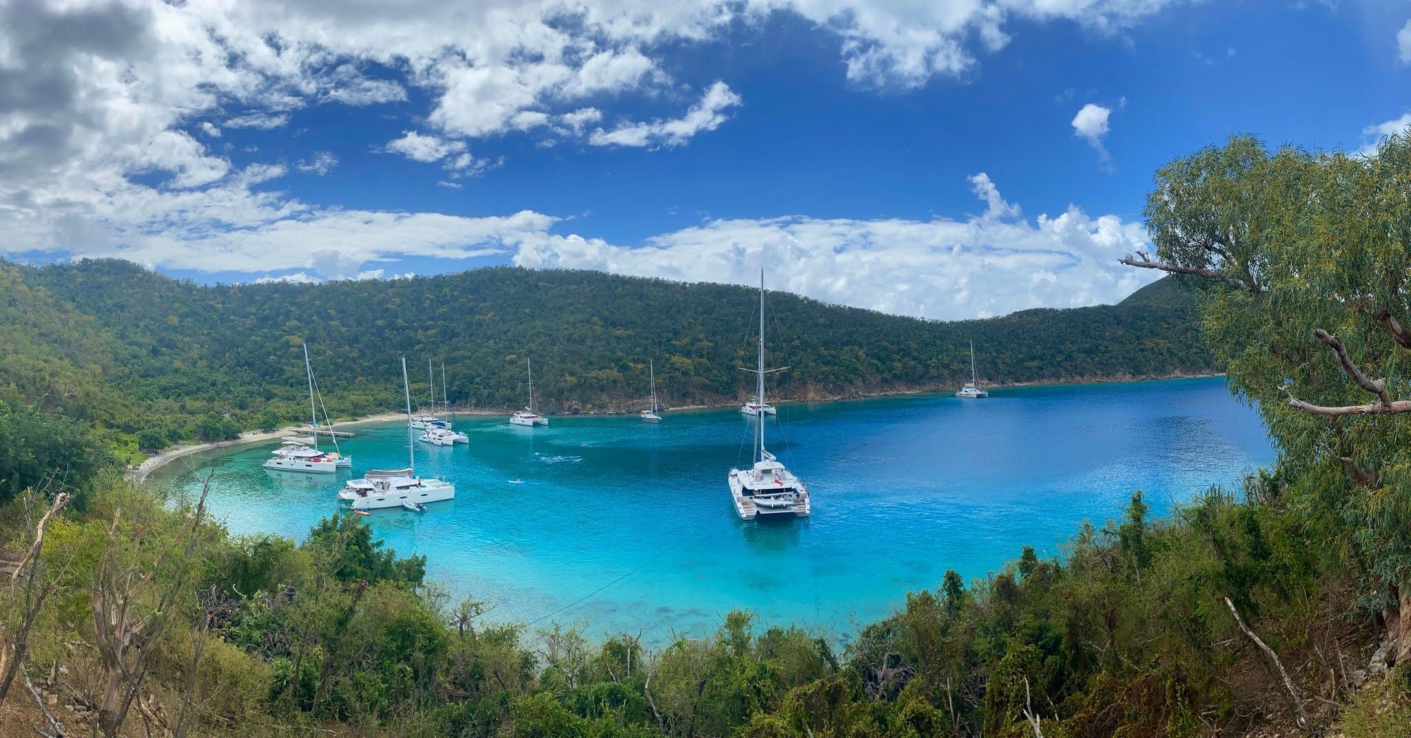 yachts_docked_in_the_british_virgin_islands.jpg